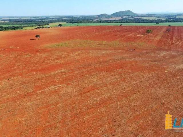 Sítio e chácara venda em Região Geográfica Imediata de Flores de Goiás, Flores de Goiás