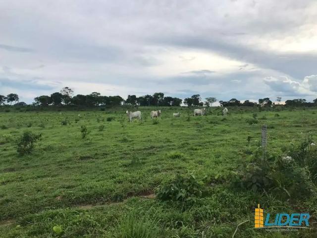 Sítio e chácara venda em Região Geográfica Imediata de Flores de Goiás, Flores de Goiás