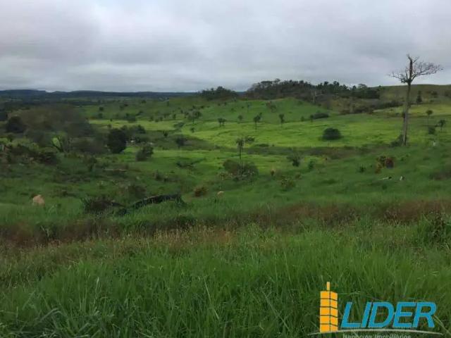 Sítio e chácara venda em Região Norte
