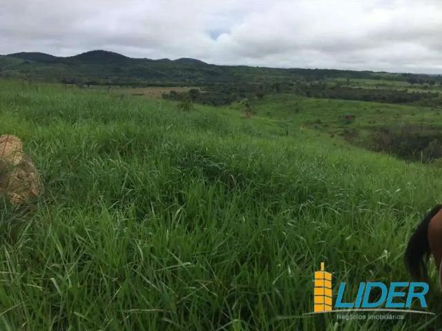 Sítio e chácara venda em Região Norte