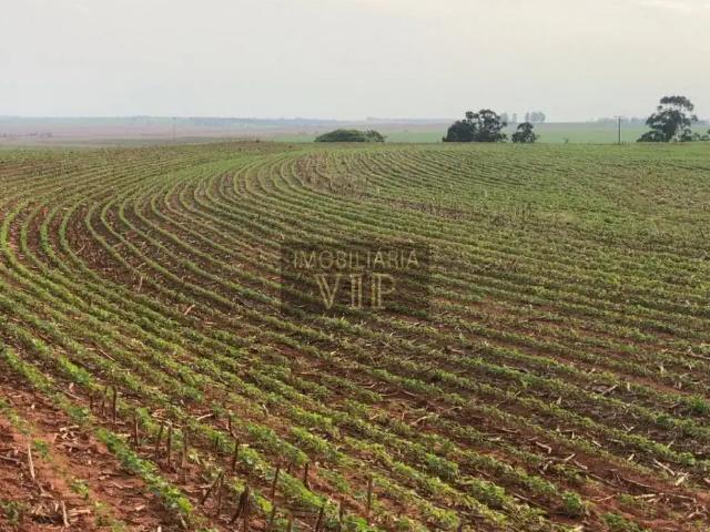 Sítio e chácara venda em Região Geográfica Imediata de Londrina, Florestópolis