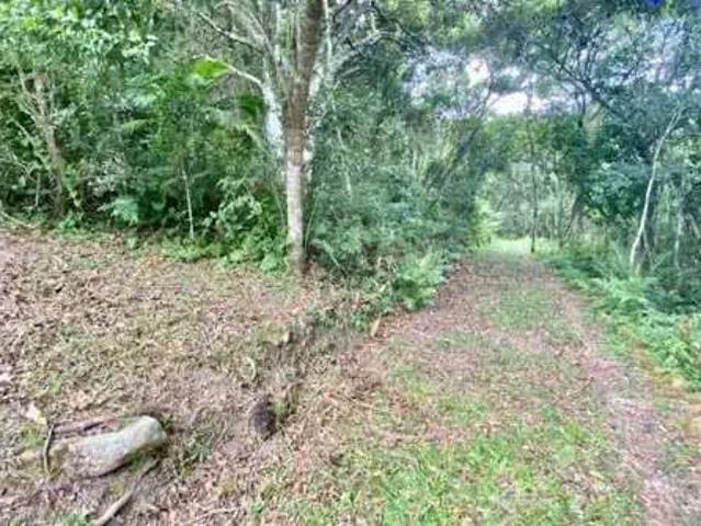 Sítio e chácara venda em Região Geográfica Imediata de Florianópolis, Desterro