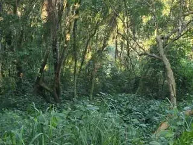 Sítio e chácara venda em Região Geográfica Imediata de Florianópolis, Desterro