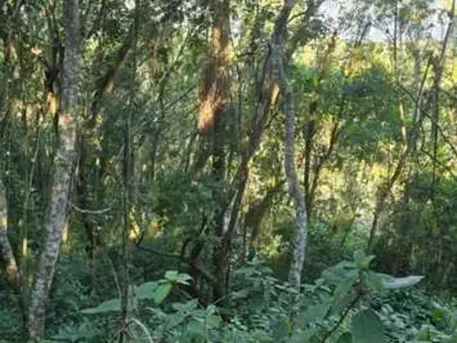 Sítio e chácara venda em Região Geográfica Imediata de Florianópolis, Desterro