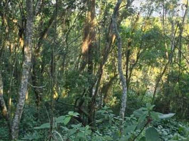 Sítio e chácara venda em Jurerê Internacional, Florianópolis