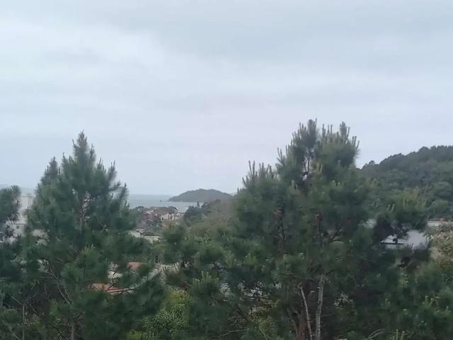 Sítio e chácara venda em Região Geográfica Imediata de Florianópolis, Desterro
