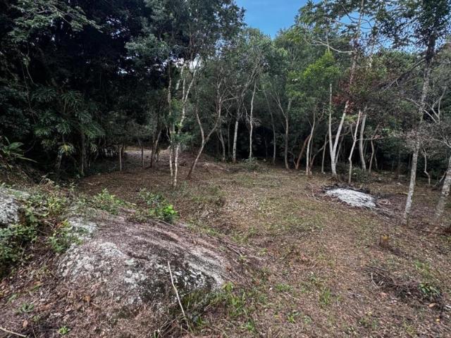 Sítio e chácara venda em Região Geográfica Imediata de Florianópolis, Desterro