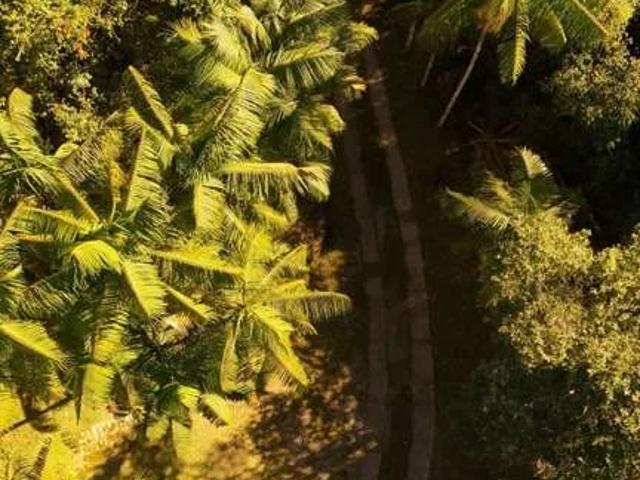 Sítio e chácara venda em Região Geográfica Imediata de Florianópolis, Desterro