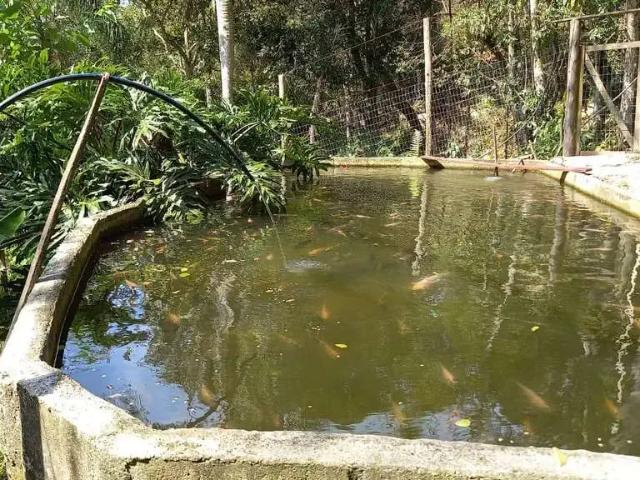 Sítio e chácara venda em Florianópolis, Vargem do Bom Jesus