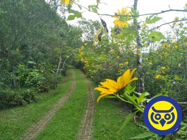 Sitio venda em Florianópolis, Vargem Grande