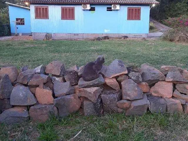 Sítio e chácara venda em Região Geográfica Imediata de Florianópolis, Desterro