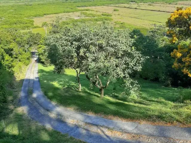 Sítio e chácara venda em Região Geográfica Imediata de Florianópolis, Desterro
