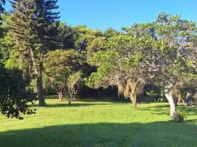 Sítio e chácara venda em Região Geográfica Imediata de Florianópolis, Desterro