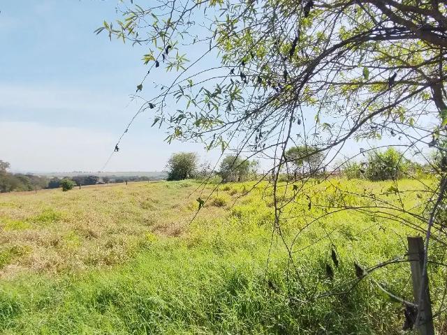 Sítio e chácara venda em Região Geográfica Imediata de Maringá, Florida