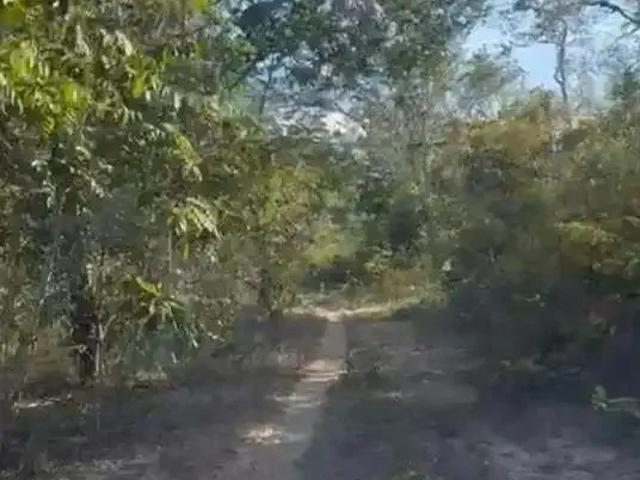 Sítio e chácara venda em Região Geográfica Imediata de Barreiras, Formosa do Rio Preto