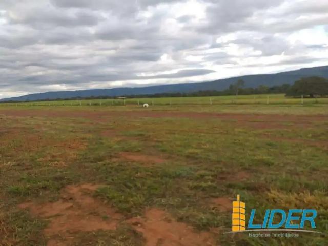 Sítio e chácara venda em Região Geográfica Imediata de Águas Lindas de Goiás, Região Integrada de Desenvolvimento do Distrito Federal e Entorno