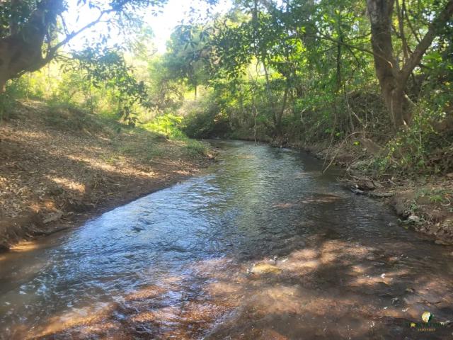 Sítio e chácara venda em Formosinha, Formosa