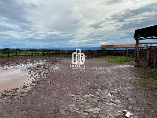 Sítio e chácara venda em Região Geográfica Imediata de Águas Lindas de Goiás, Região Integrada de Desenvolvimento do Distrito Federal e Entorno