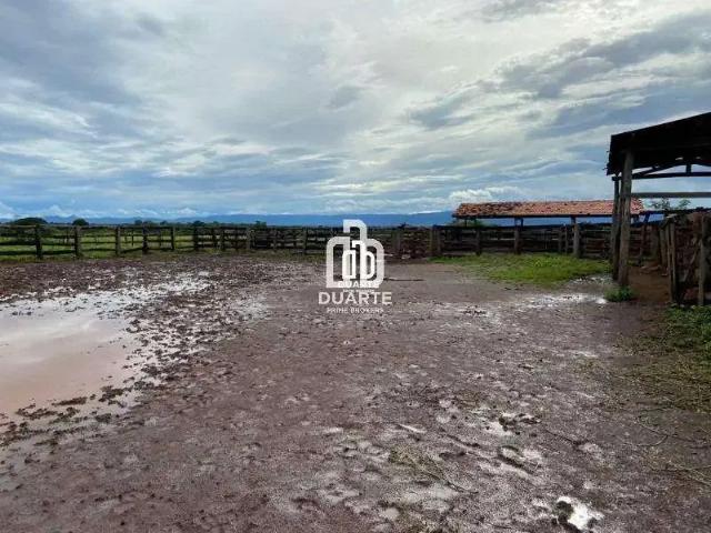 Sítio e chácara venda em Região Geográfica Imediata de Águas Lindas de Goiás, Região Integrada de Desenvolvimento do Distrito Federal e Entorno