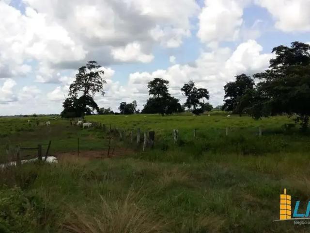 Sítio e chácara venda em Região Geográfica Imediata de Gurupi, Formoso do Araguaia