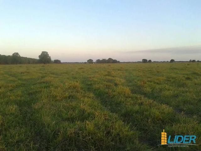 Sítio e chácara venda em Região Geográfica Imediata de Gurupi, Formoso do Araguaia