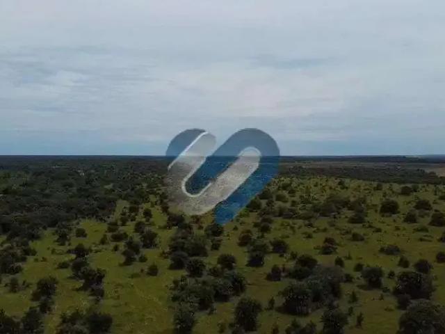 Sítio e chácara venda em Região Geográfica Imediata de Gurupi, Formoso do Araguaia