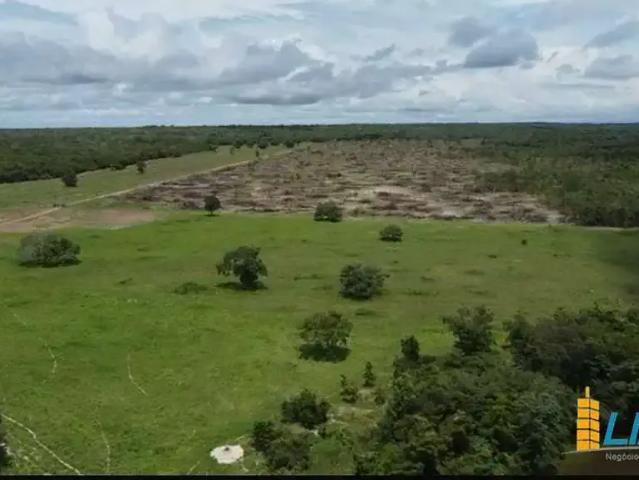 Sítio e chácara venda em Região Geográfica Imediata de Gurupi, Formoso do Araguaia