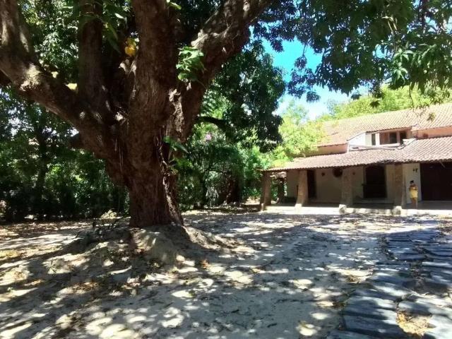 Sítio e chácara venda em Região Geográfica Imediata de Fortaleza, Fortaleza