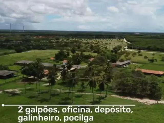 Sítio e chácara venda em Região Geográfica Imediata de Aracati, Fortim