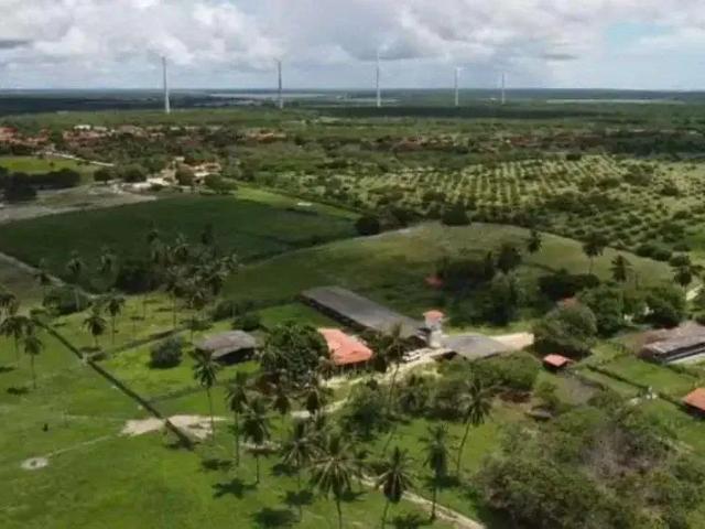 Sítio e chácara venda em Região Geográfica Imediata de Aracati, Fortim