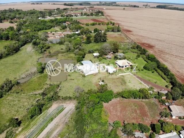 Sítio e chácara venda em Região Geográfica Imediata de Foz do Iguaçu, Foz do Iguaçu
