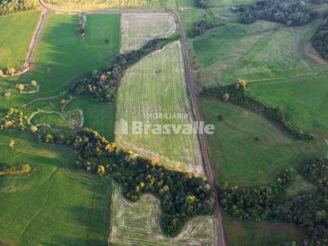 Sítio e chácara venda em Foz do Iguaçu, Região Geográfica Intermediária de Cascavel