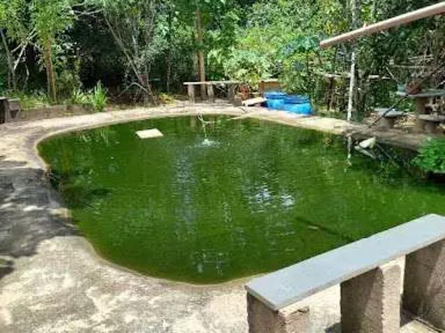 Sítio e chácara venda em Região Imediata de Franca, Juranda