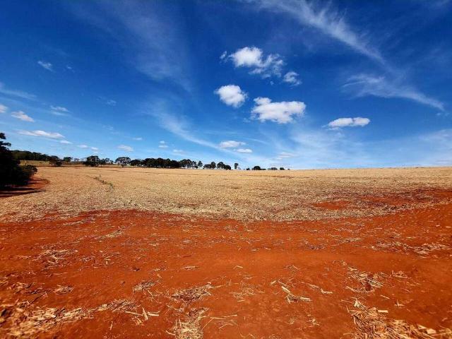 Sítio e chácara venda em Cidade Nova, Franca