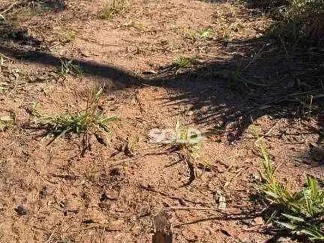 Sítio e chácara venda em Região Imediata de Franca, Juranda