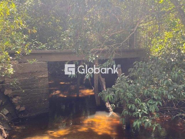 Sítio e chácara venda em Francisco Dumont, Região Geográfica Intermediária de Montes Claros