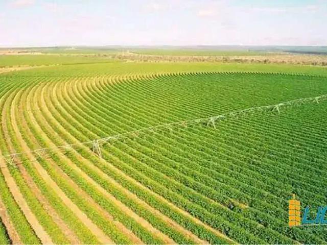 Sítio e chácara venda em Região Geográfica Imediata de Montes Claros, Francisco Dumont