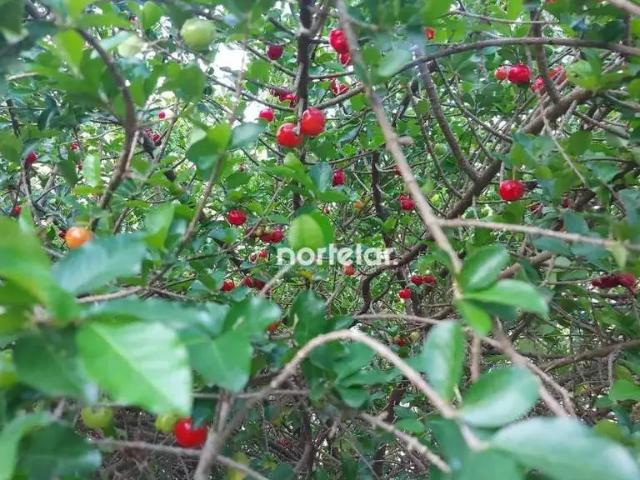 Sítio e chácara venda em Vila Ida, Franco da Rocha