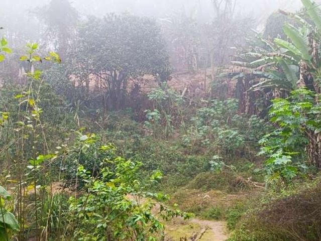 Sítio e chácara venda em Região Imediata de São Paulo, Região Metropolitana de São Paulo