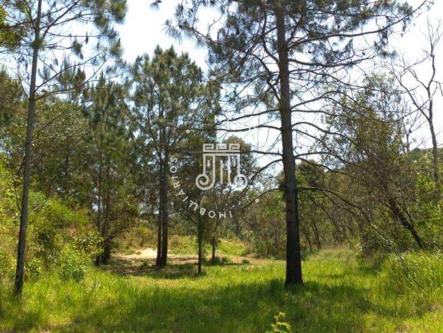 Sitio venda em Franco da Rocha, Vila Palmares