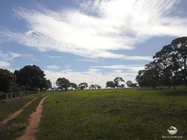 Sítio e chácara venda em Região Geográfica Imediata de Frutal, Fronteira