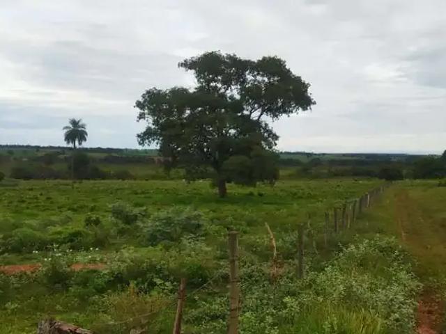 Sítio e chácara venda em Região Geográfica Imediata de Frutal, Fronteira