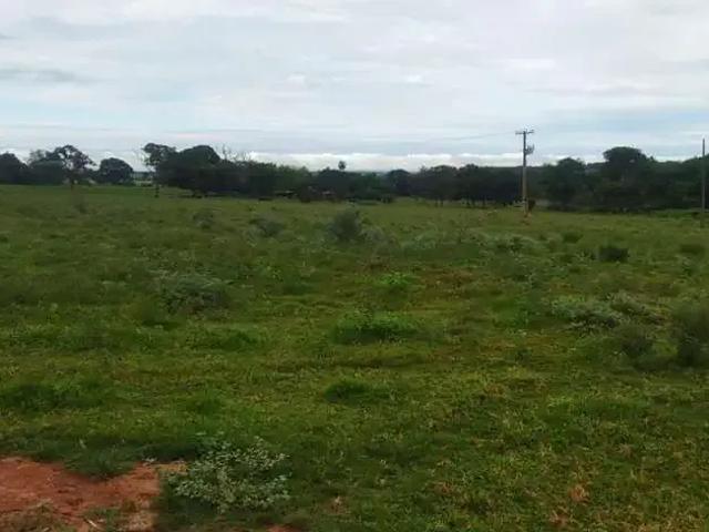Sítio e chácara venda em Região Geográfica Imediata de Frutal, Fronteira