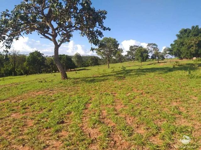 Sítio e chácara venda em Região Geográfica Imediata de Frutal, Frutal