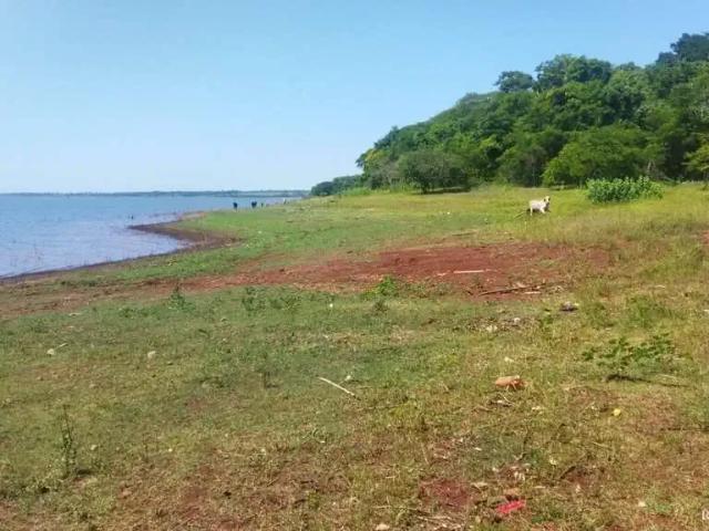 Sítio e chácara venda em Região Geográfica Imediata de Frutal, Frutal