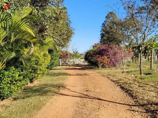 Sítio e chácara venda em Região Geográfica Imediata de Anápolis, Anápolis