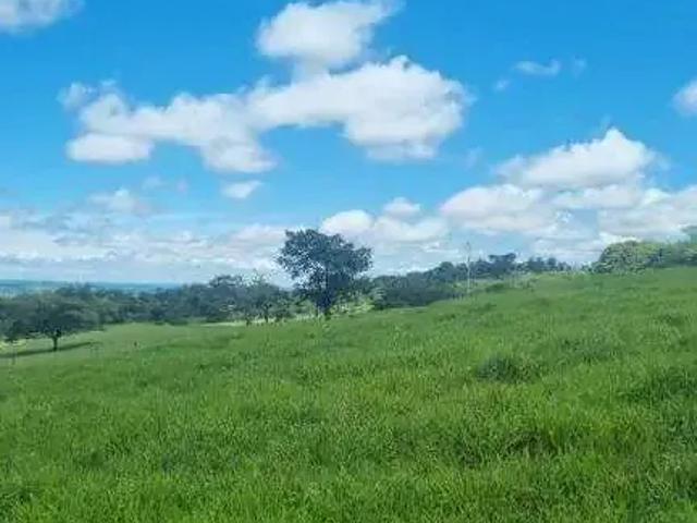 Sítio e chácara venda em Gameleiras, Região Sudeste