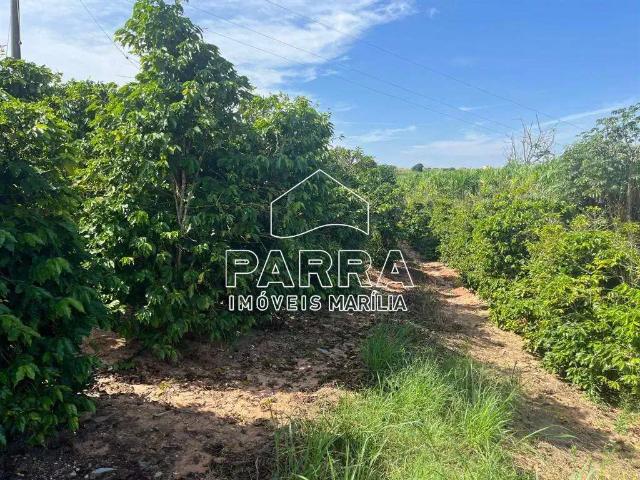 Sítio e chácara venda em Região Imediata de Marília, Garça
