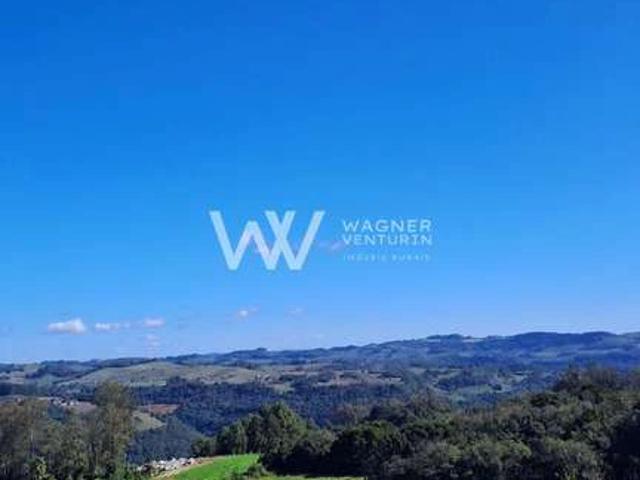 Sítio e chácara venda em Região Geográfica Imediata de Bento Gonçalves, Garibaldi