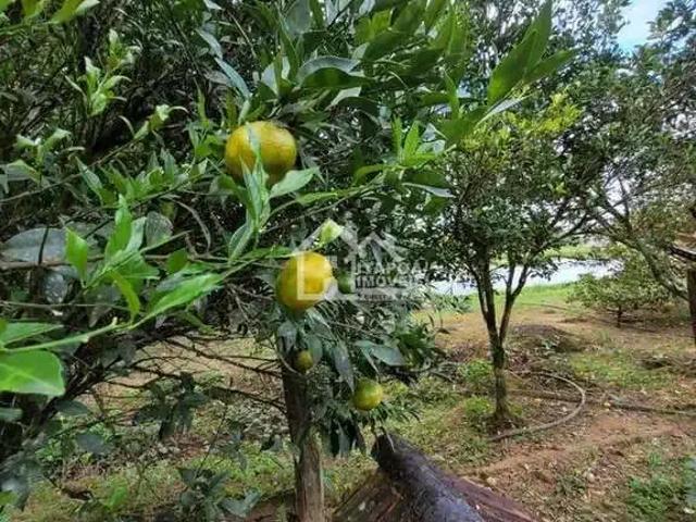 Sítio e chácara venda em Região Geográfica Imediata de Joinville, Garuva